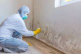  West Linn, OR Mold Inspection Pros