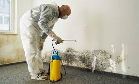 Best Water Damage & Mold Remediation  in West Linn, OR