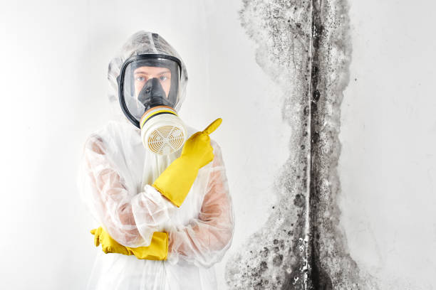 Best Mold Remediation for Healthcare Facilities  in West Linn, OR