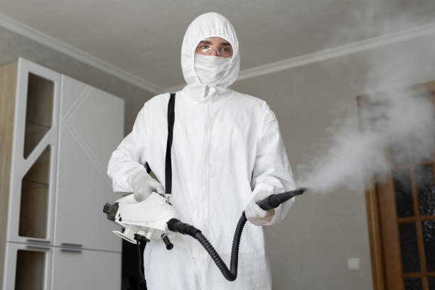 Best Comprehensive Air Testing for Mold Contaminants  in West Linn, OR