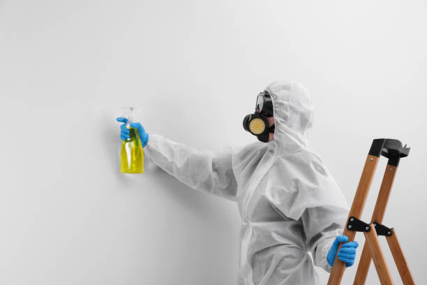 Best Mold Prevention Services  in West Linn, OR