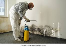 Best Mold Prevention Services  in West Linn, OR